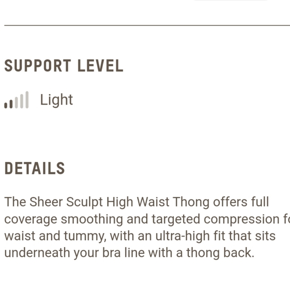 Skims mesh Sheer Sculpt High-waisted Thong - Sienna - Picture 6 of 12